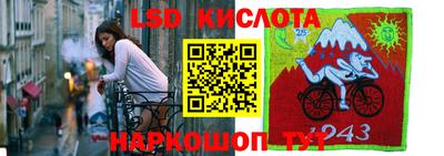 гидра Дубна