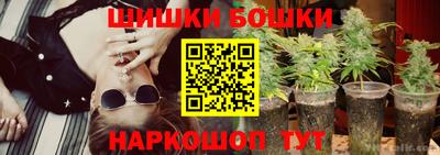 гидра Дубна