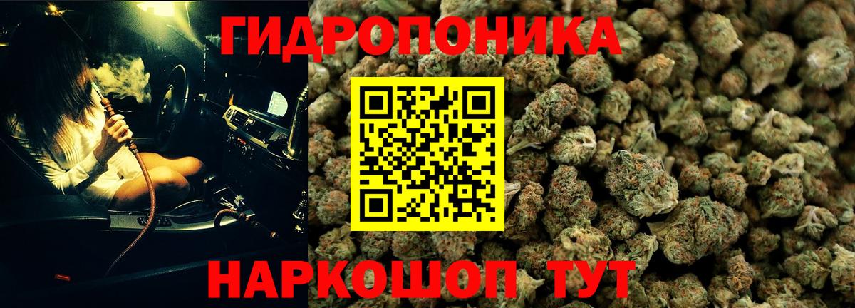 Шишки марихуана White Widow Магнитогорск